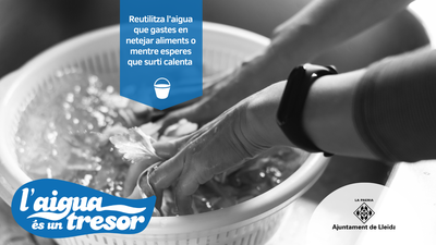 Reutilitza l'aigua que gastes en netejar aliments o mentre esperes que surti calenta.