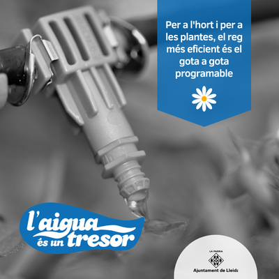 Per a l'hort i per a les plantes, el reg més eficient és el gota a gota programable.