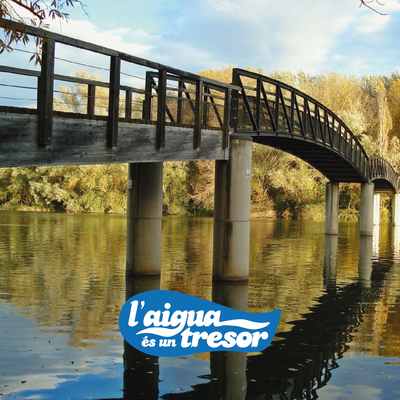 L'aigua és un tresor - Xarxes socials.