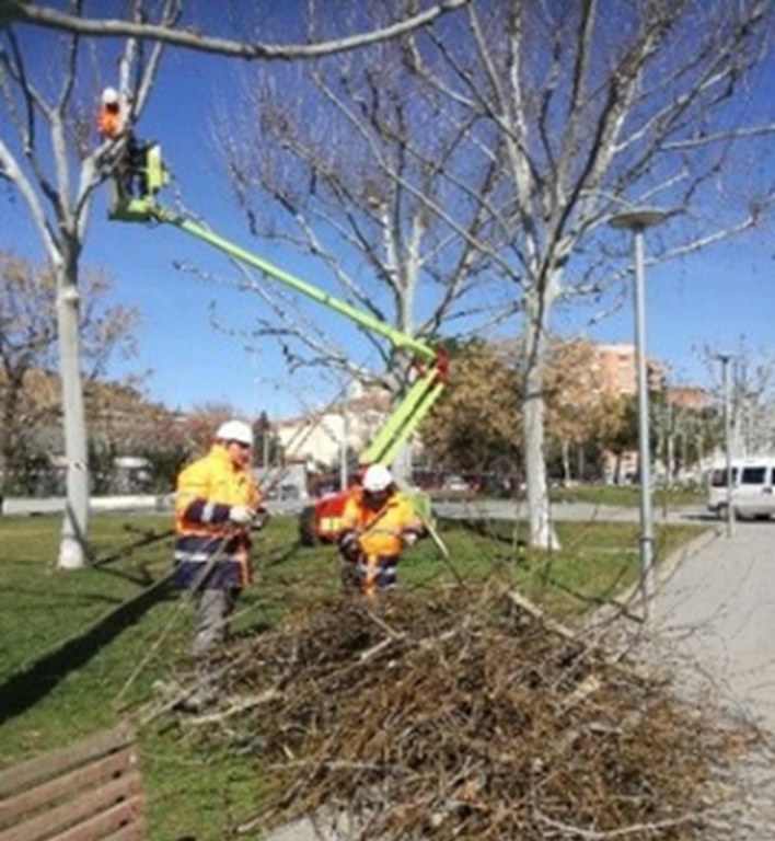Foto jardineria centre especial de treball