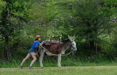<bound method DexterityContent.Title of <Event at /fs-paeria/paeria/es/actualidad/agenda/ciclo-matinales-de-cine>>.