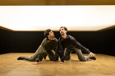 <bound method DexterityContent.Title of <Event at /fs-paeria/paeria/es/actualidad/agenda/los-perros-led-silhouhette>>.