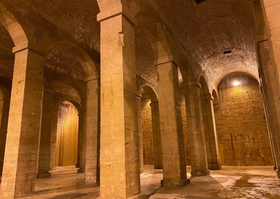 <bound method DexterityContent.Title of <Event at /fs-paeria/paeria/es/actualidad/agenda/visita-guiada-centro-historico-deposito-de-agua>>.