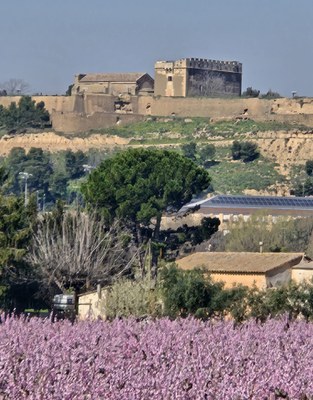 <bound method DexterityContent.Title of <Event at /fs-paeria/paeria/es/actualidad/agenda/visita-guiada-floracion-de-la-huerta-templera>>.