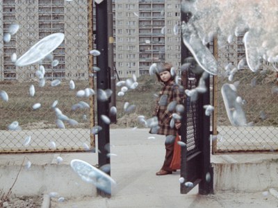 <bound method DexterityContent.Title of <Event at /fs-paeria/paeria/es/actualidad/agenda/xposed-queer-film-festival>>.