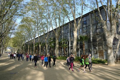 A punto el nuevo calendario de salidas del programa Caminar es hacer salud. Imagen de archivo de una de las salidas, con recorrido por los Camps Elisis..