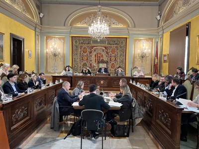 Fotografía del Pleno Municipal Ordinario del mes de diciembre.