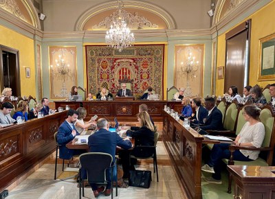 El paer jefe ha señalado que el retraso injustificado en la tramitación del proyecto comercial en Torre Salses ha provocado que el Ayuntamiento se enfrente a una reclamación por daños y perjuicios por importe de 41,6 millones de euros.