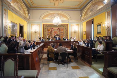 Imagen de una de las votaciones del pleno.