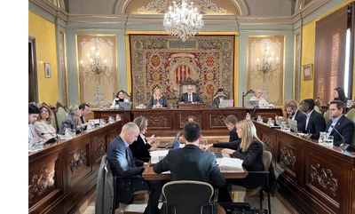 El Ayuntamiento de Lleida ha celebrado este viernes el Pleno de diciembre..