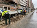 En marcha la plantación de medio millar de árboles en las calles de todos los barrios durante este invierno