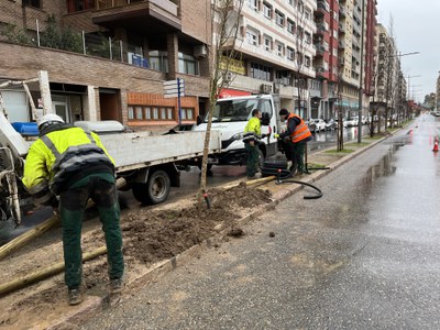 Operarios de la empresa Jarditec trabajando en la plantación del arbolado en la media de la avenida de Madrid.