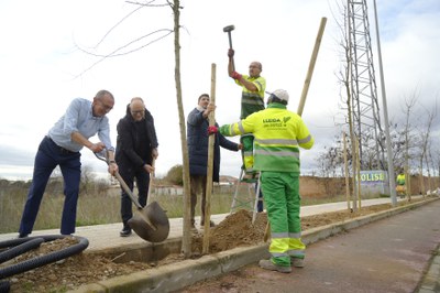 El alcalde Miquel Pueyo y el regidor Jaume Rutllant han colaborado en la plantación de árboles.