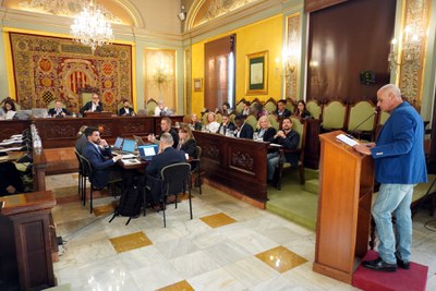 La intervención del presidente de la FAVLL en el pleno de hoy.