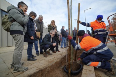 El alcalde Larrosa ha visitado hoy el inicio de la plantación de arbolado en Pardinyes.