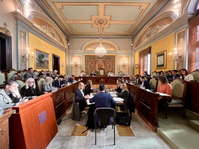 El pleno ordinario del Ayuntamiento de Lleida de marzo.