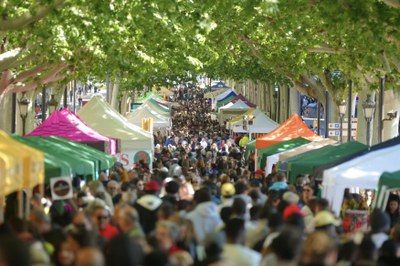 Lleida celebra Sant Jordi, con gran actividad de puestos de libros, rosas y entidades en la rambla de Ferran y la avenida de Francesc Macià..