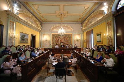 La última sesión plenaria del mandato tuvo lugar hoy en el Salón de Sesiones.