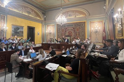 Votación durante el Pleno.