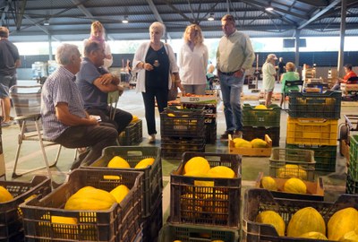Visita al Mercado Central de Frutas y Verduras, en el CIM, en el polígono industrial de Els Frares..